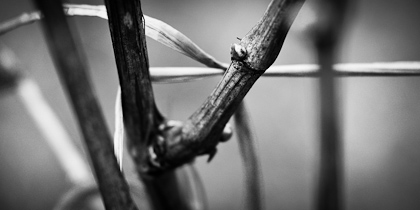 wpid-P1110154.jpg